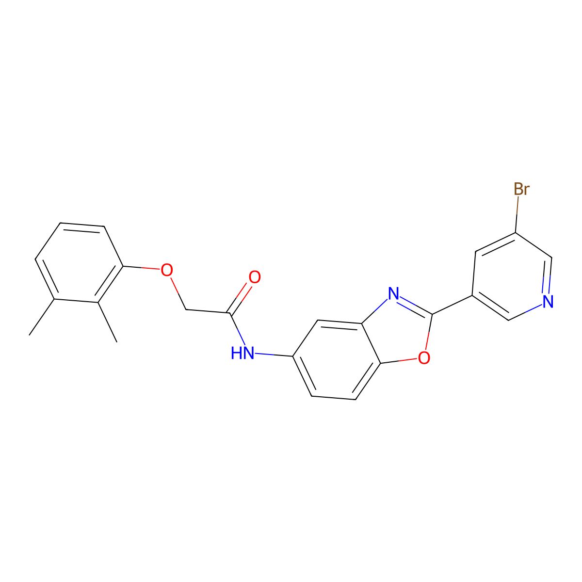 N-[2-(5-bromopyridin-3-yl)-1,3-benzoxazol-5-yl]-2-(2,3-dimethylphenoxy)acetamide molecular structure, CAS 832095-68-8