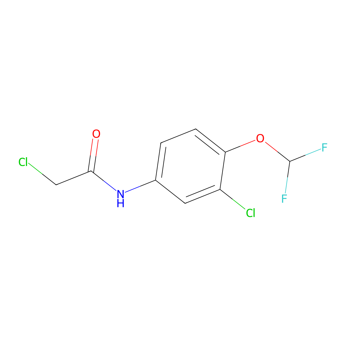 2-chloro-N-[3-chloro-4-(difluoromethoxy)phenyl]acetamide molecular structure, CAS 832122-45-9