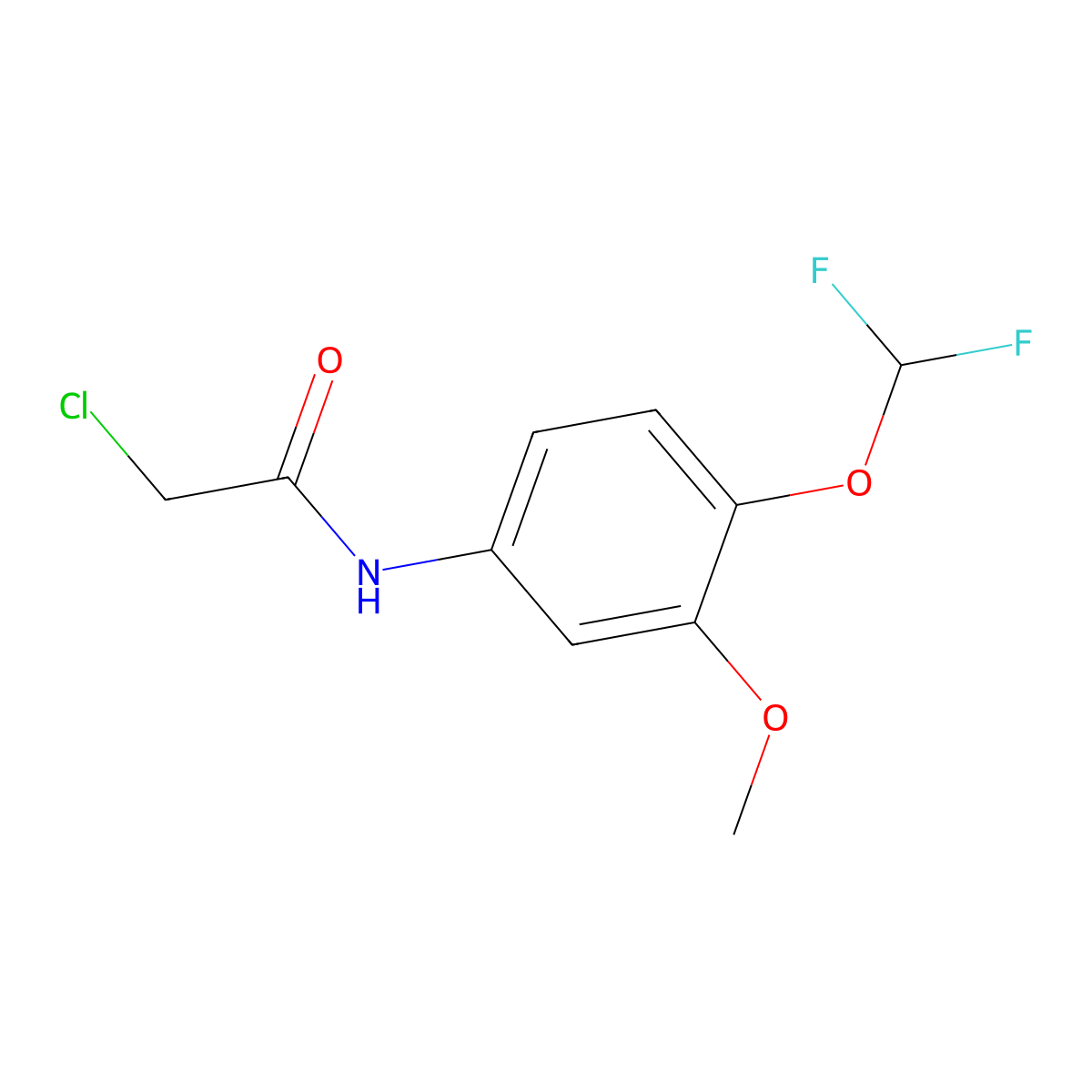 2-Chloro-N-(4-difluoromethoxy-3-methoxy-phenyl)-acetamide molecular structure, CAS 832126-07-5