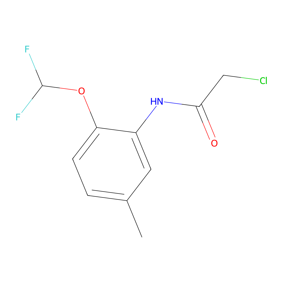 2-Chloro-N-(2-difluoromethoxy-5-methyl-phenyl)-acetamide molecular structure, CAS 832127-58-9