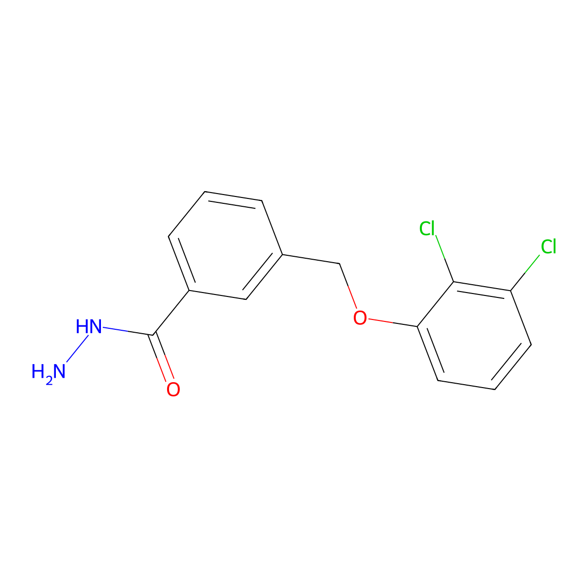 3-[(2,3-Dichlorophenoxy)methyl]benzohydrazide molecular structure, CAS 832739-92-1