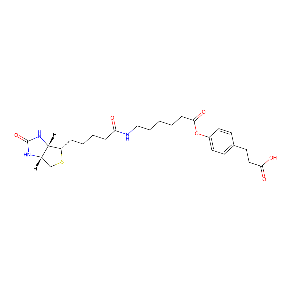 3-(4-(N-Biotinoyl-6-aminocaproyloxy)phenyl)propionic Acid molecular structure, CAS 83592-10-3