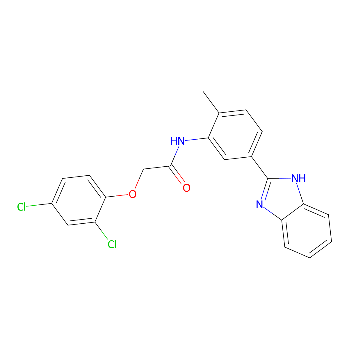 N-[5-(1H-benzimidazol-2-yl)-2-methylphenyl]-2-(2,4-dichlorophenoxy)acetamide molecular structure, CAS 836664-89-2