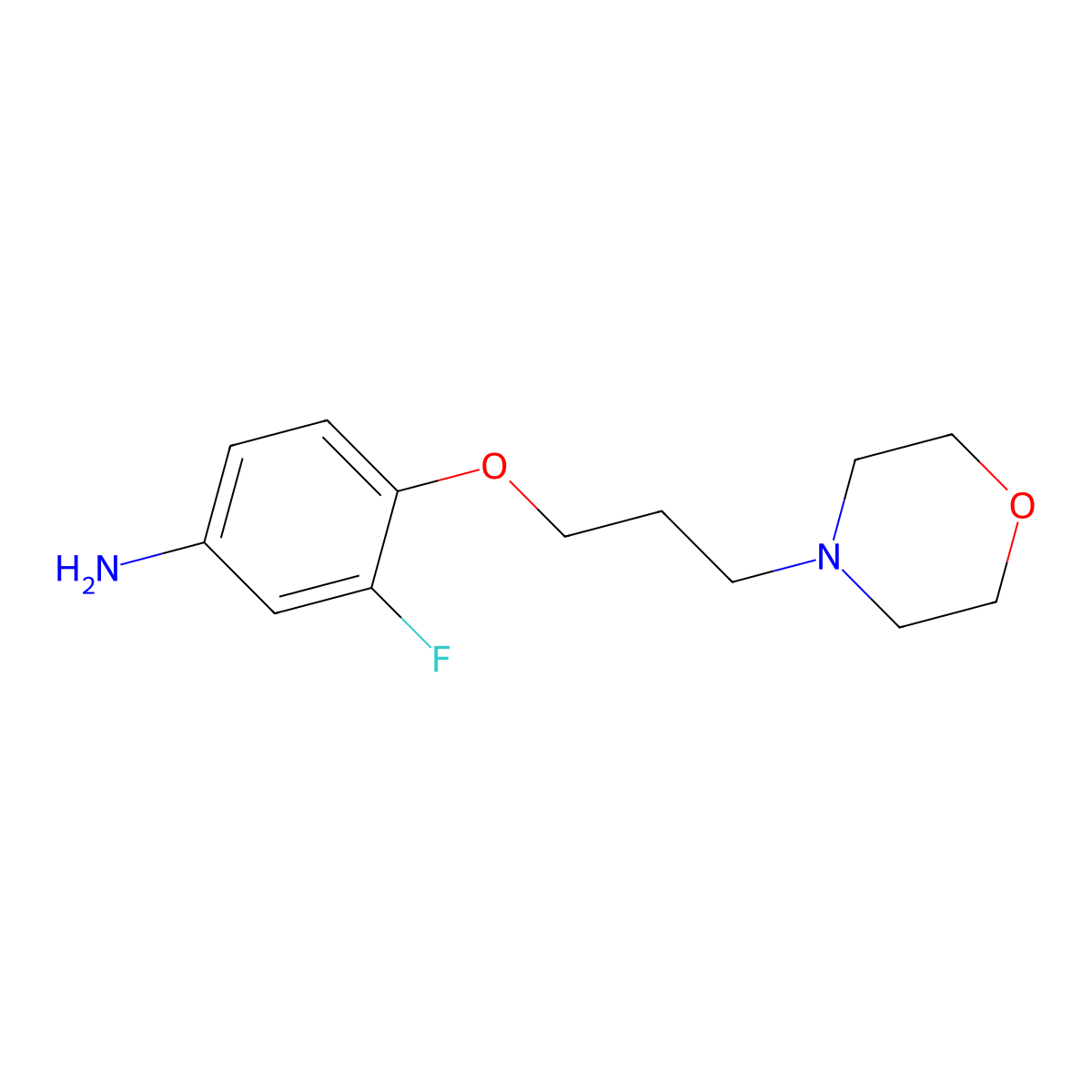 3-Fluoro-4-[3-(morpholin-4-yl)propoxy]aniline molecular structure, CAS 837421-93-9