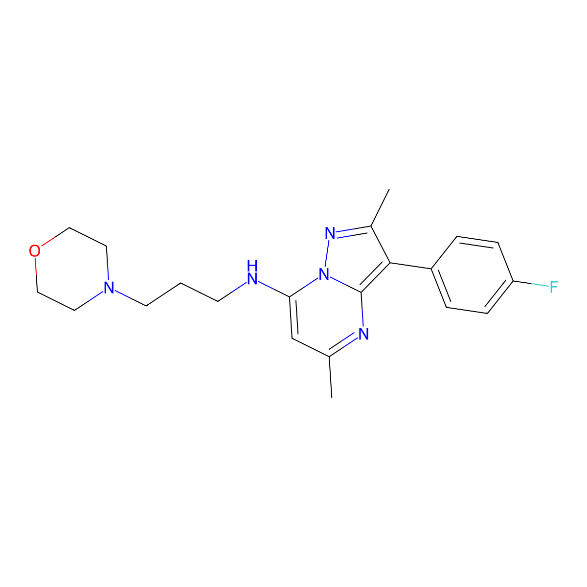 3-(4-fluorophenyl)-2,5-dimethyl-N-[3-(morpholin-4-yl)propyl]pyrazolo[1,5-a]pyrimidin-7-amine molecular structure, CAS 842111-91-5