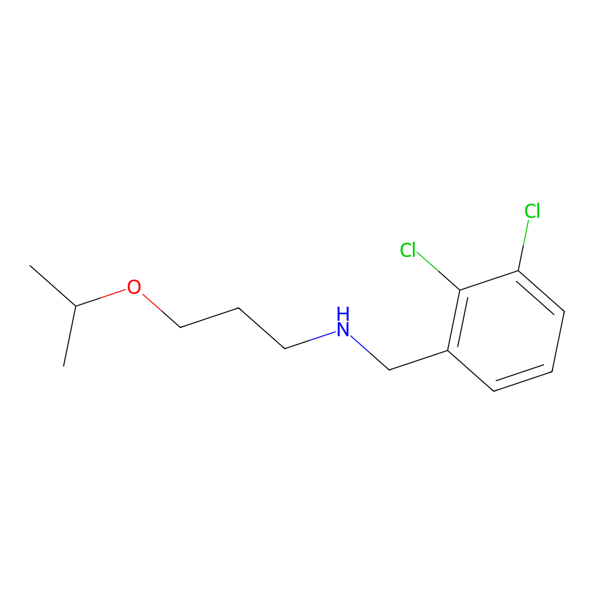 (2,3-Dichloro-benzyl)-(3-isopropoxy-propyl)-amine molecular structure, CAS 842968-49-4