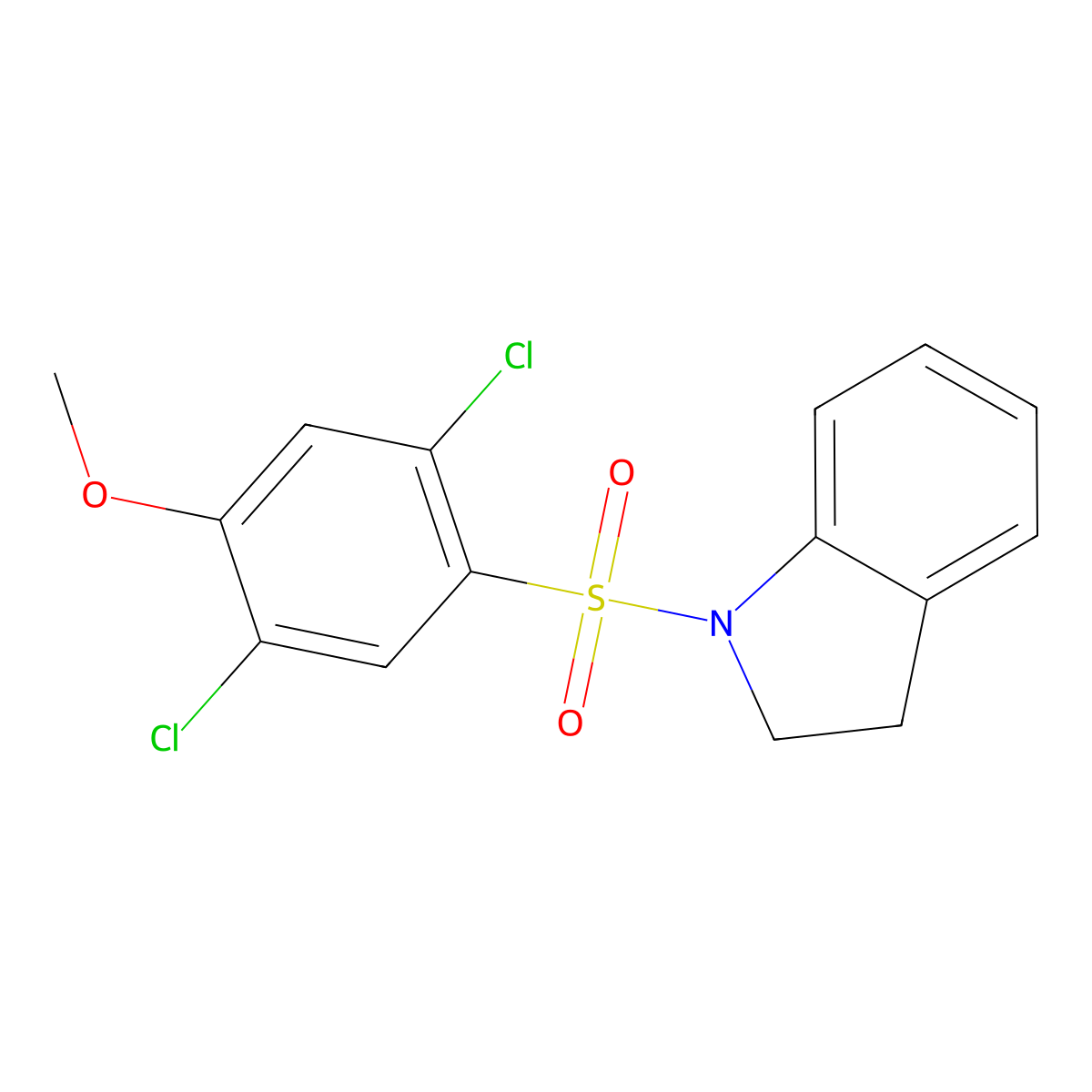 2,5-Dichloro-1-(indolinylsulfonyl)-4-methoxybenzene molecular structure, CAS 842976-73-2