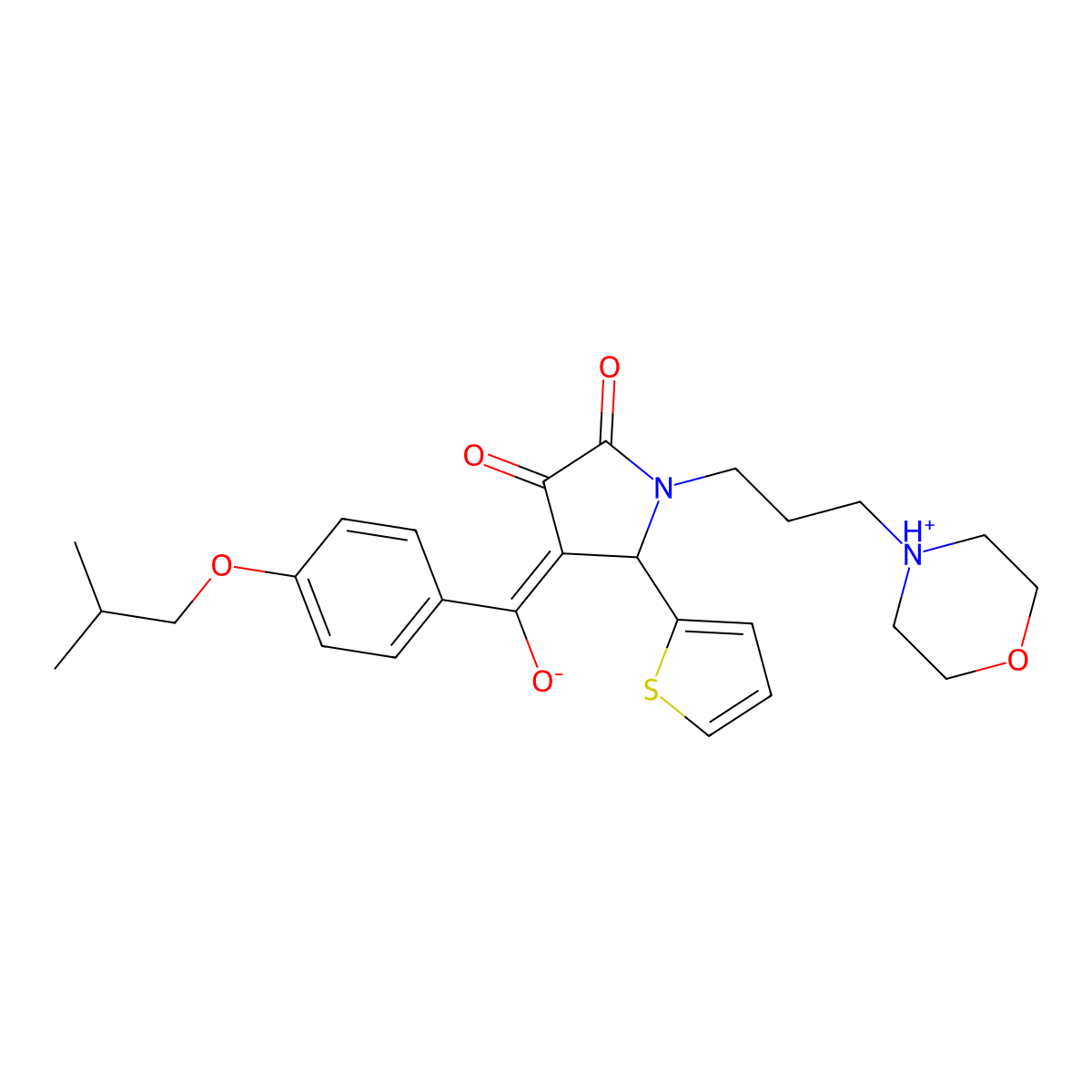 3-hydroxy-4-[4-(2-methylpropoxy)benzoyl]-1-[3-(morpholin-4-yl)propyl]-5-(thiophen-2-yl)-2,5-dihydro-1H-pyrrol-2-one molecular structure, CAS 844448-04-0