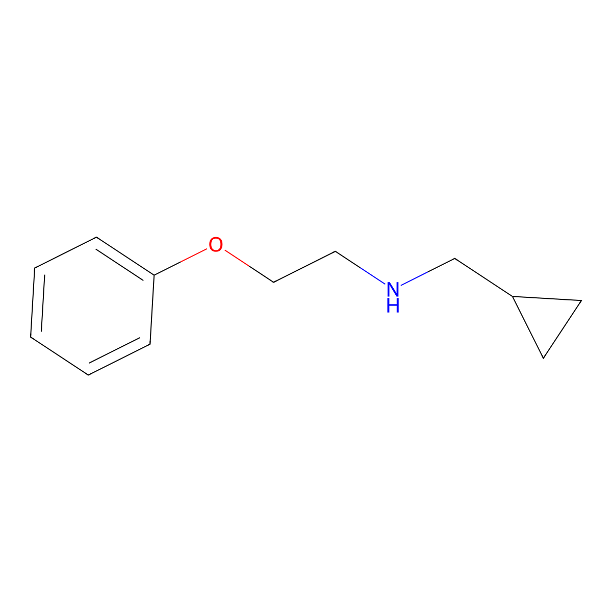 (Cyclopropylmethyl)(2-phenoxyethyl)amine molecular structure, CAS 844496-02-2