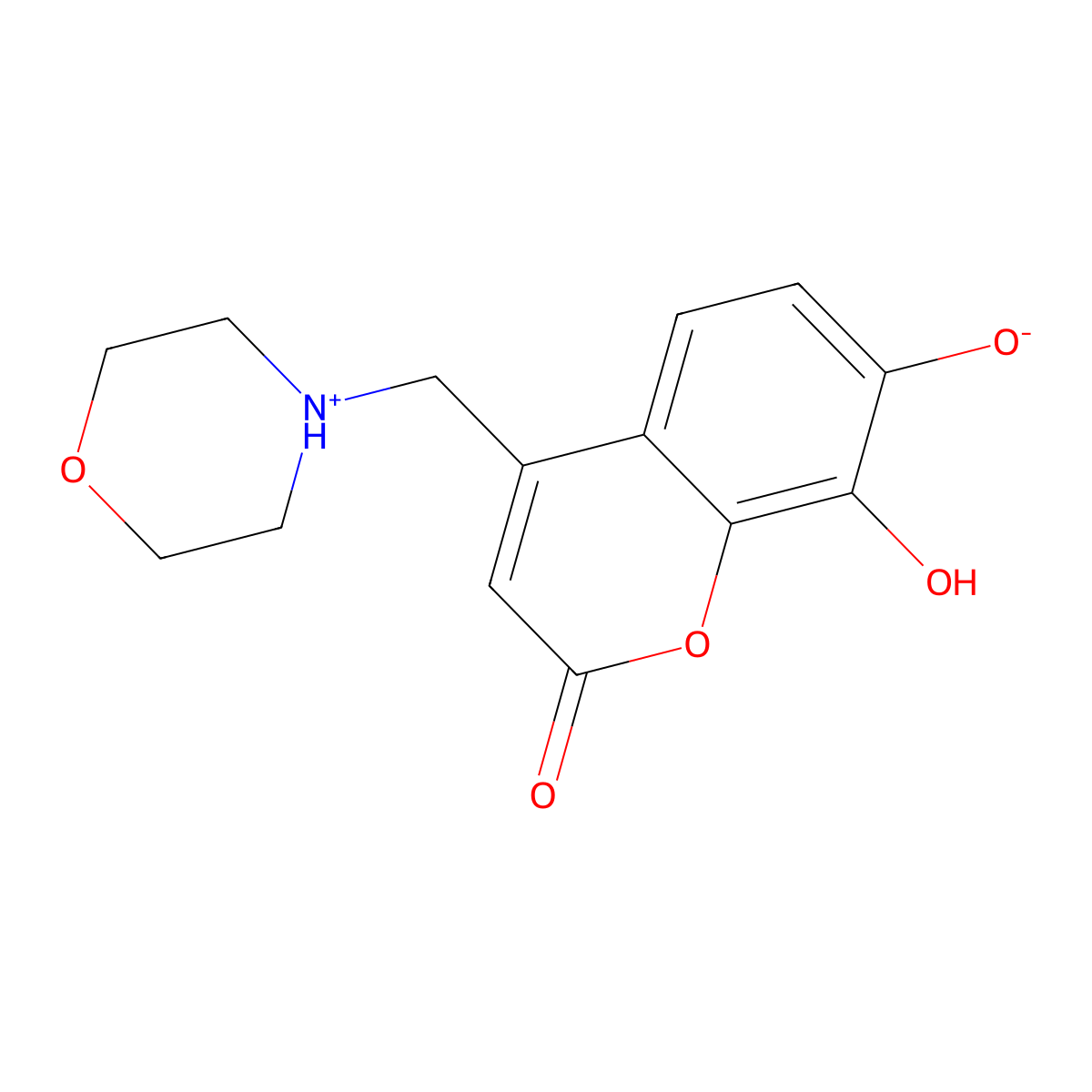 7,8-Dihydroxy-4-(morpholin-4-ylmethyl)chromen-2-one molecular structure, CAS 844828-43-9