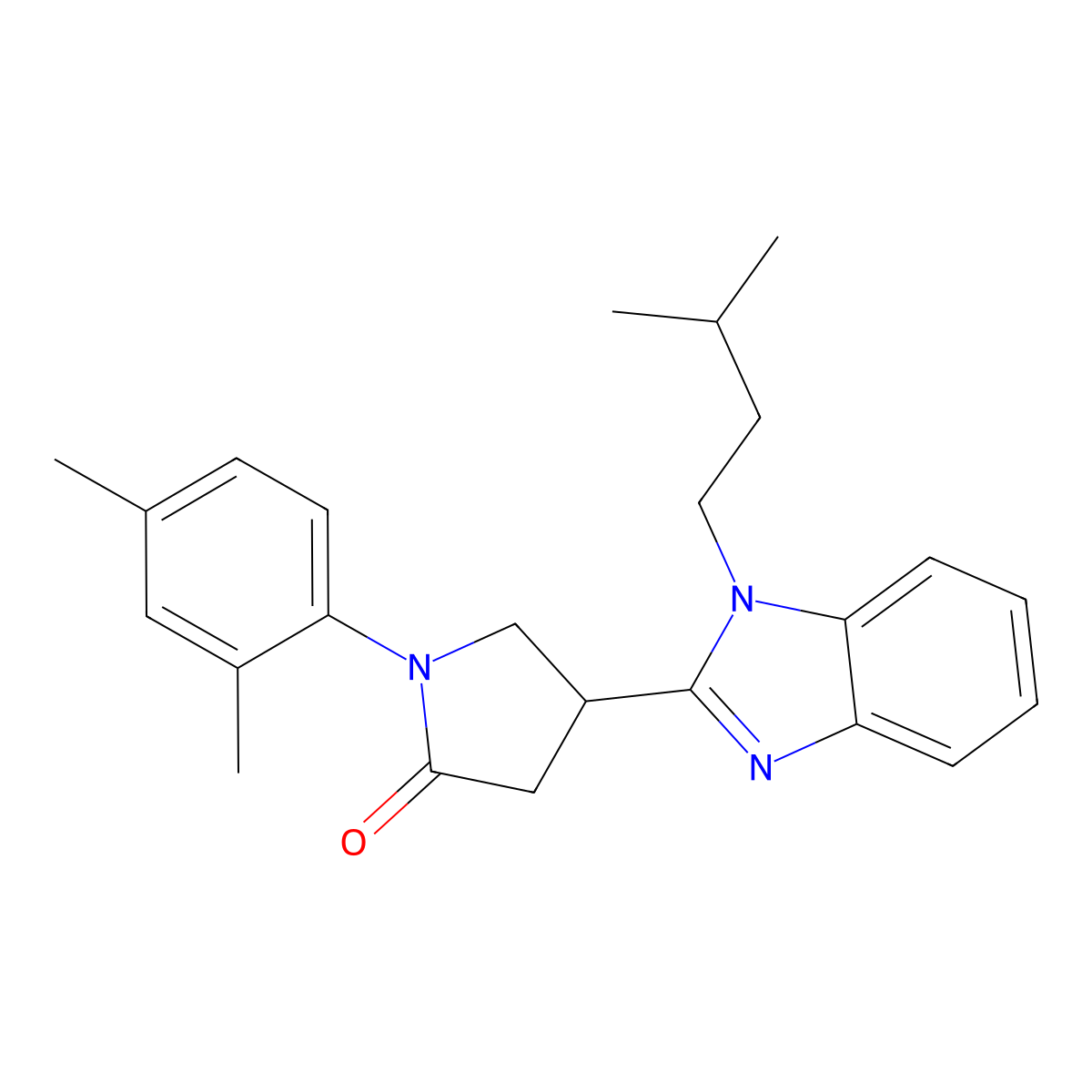 1-(2,4-Dimethylphenyl)-4-[1-(3-methylbutyl)benzimidazol-2-yl]pyrrolidin-2-one molecular structure, CAS 847394-31-4