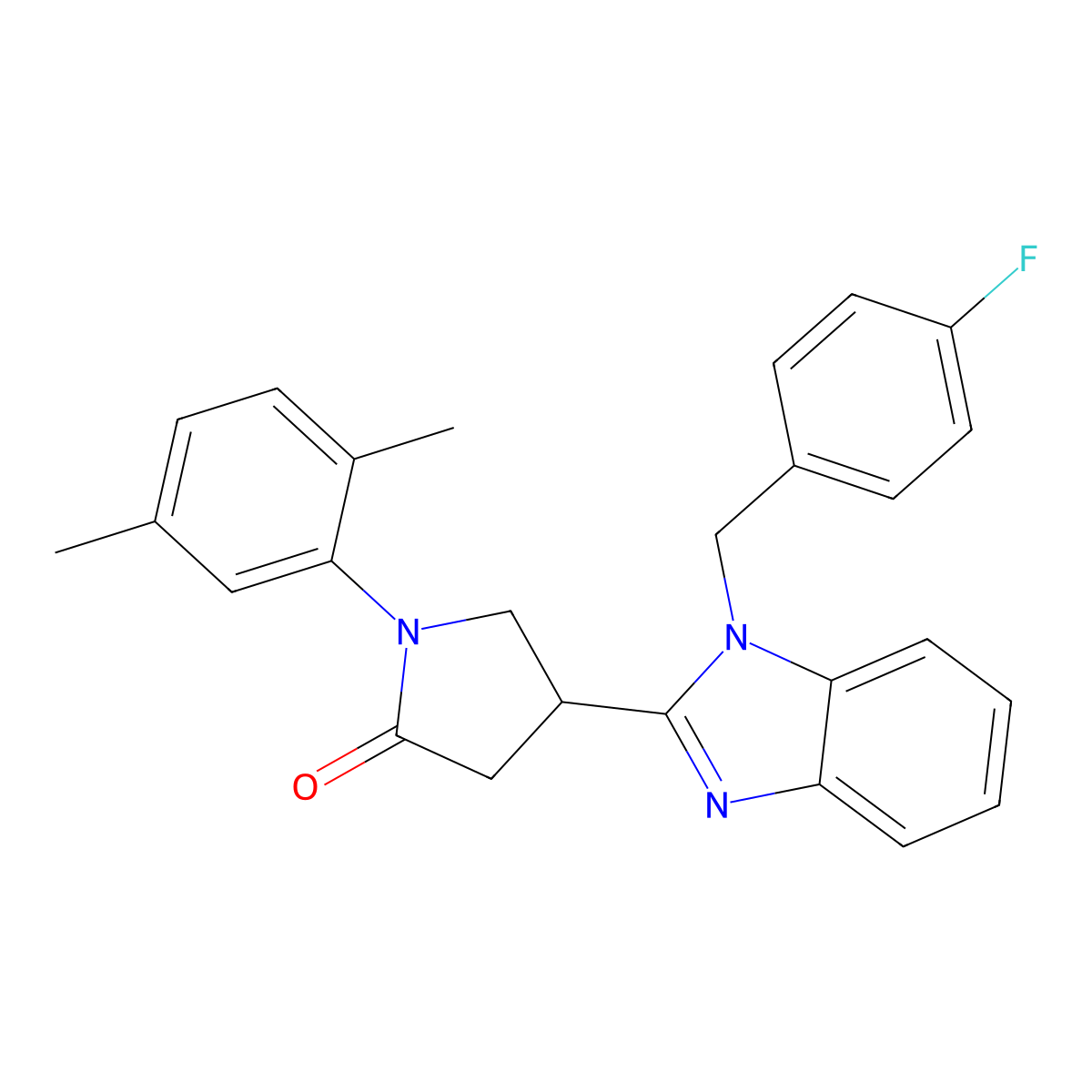 1-(2,5-dimethylphenyl)-4-{1-[(4-fluorophenyl)methyl]-1H-1,3-benzodiazol-2-yl}pyrrolidin-2-one molecular structure, CAS 847395-26-0