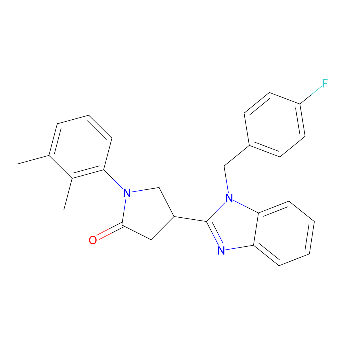 1-(2,3-Dimethylphenyl)-4-[1-[(4-fluorophenyl)methyl]benzimidazol-2-yl]pyrrolidin-2-one molecular structure, CAS 847395-63-5