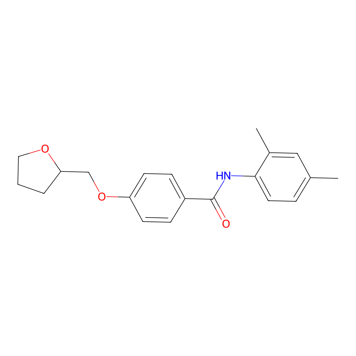 N-(2,4-dimethylphenyl)-4-(tetrahydrofuran-2-ylmethoxy)benzamide molecular structure, CAS 848177-78-6