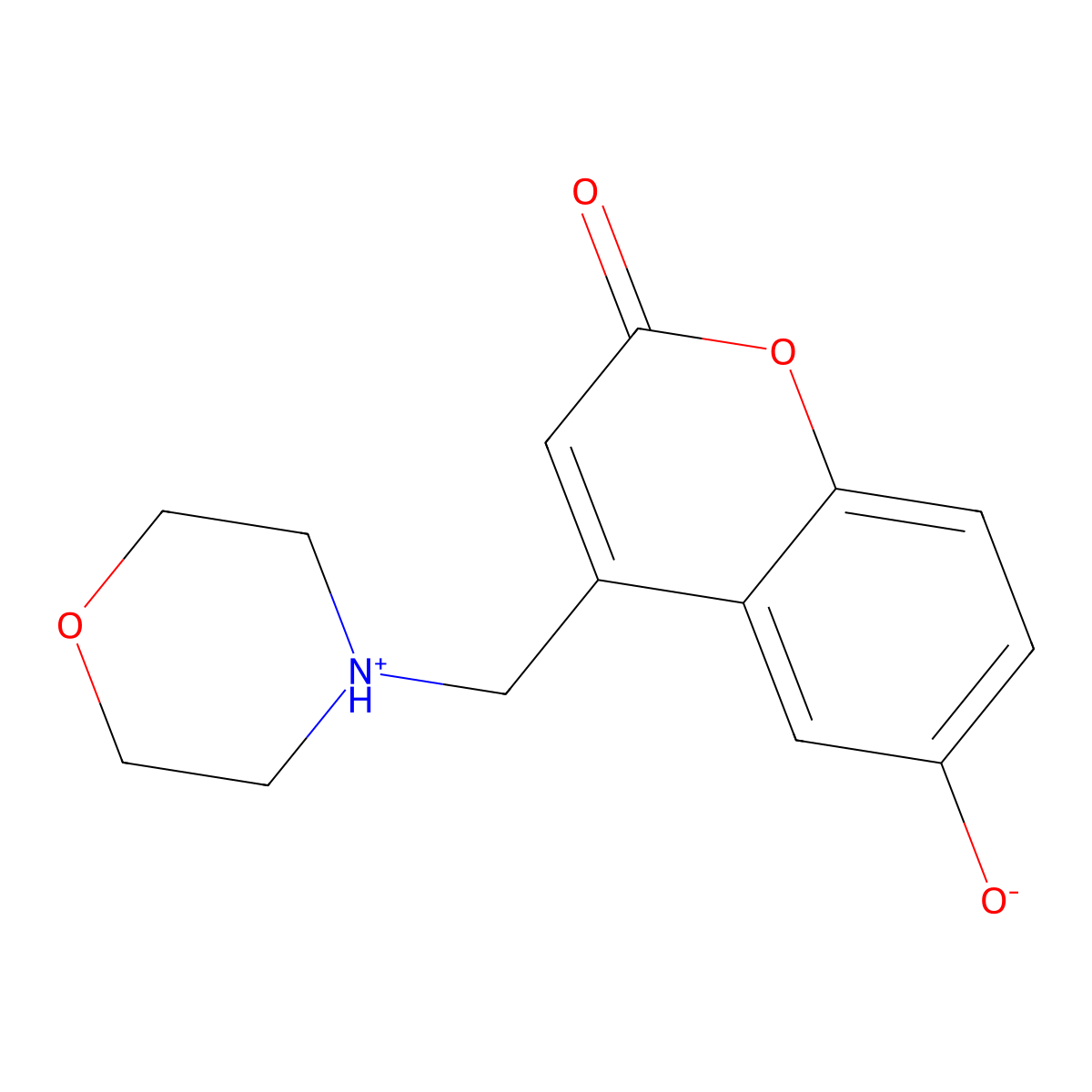 6-Hydroxy-4-(morpholin-4-ylmethyl)chromen-2-one molecular structure, CAS 848767-17-9