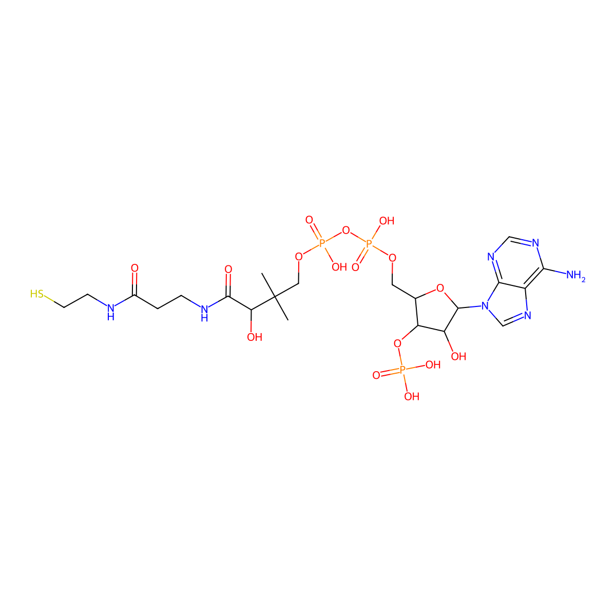 Coenzyme A molecular structure, CAS 85-61-0