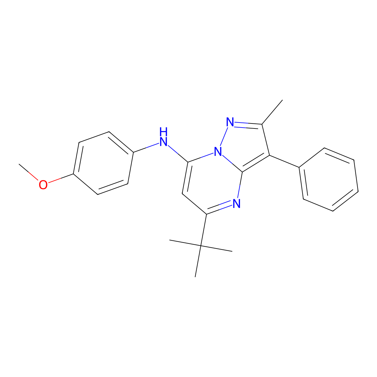 5-tert-butyl-N-(4-methoxyphenyl)-2-methyl-3-phenylpyrazolo[1,5-a]pyrimidin-7-amine molecular structure, CAS 850158-87-1