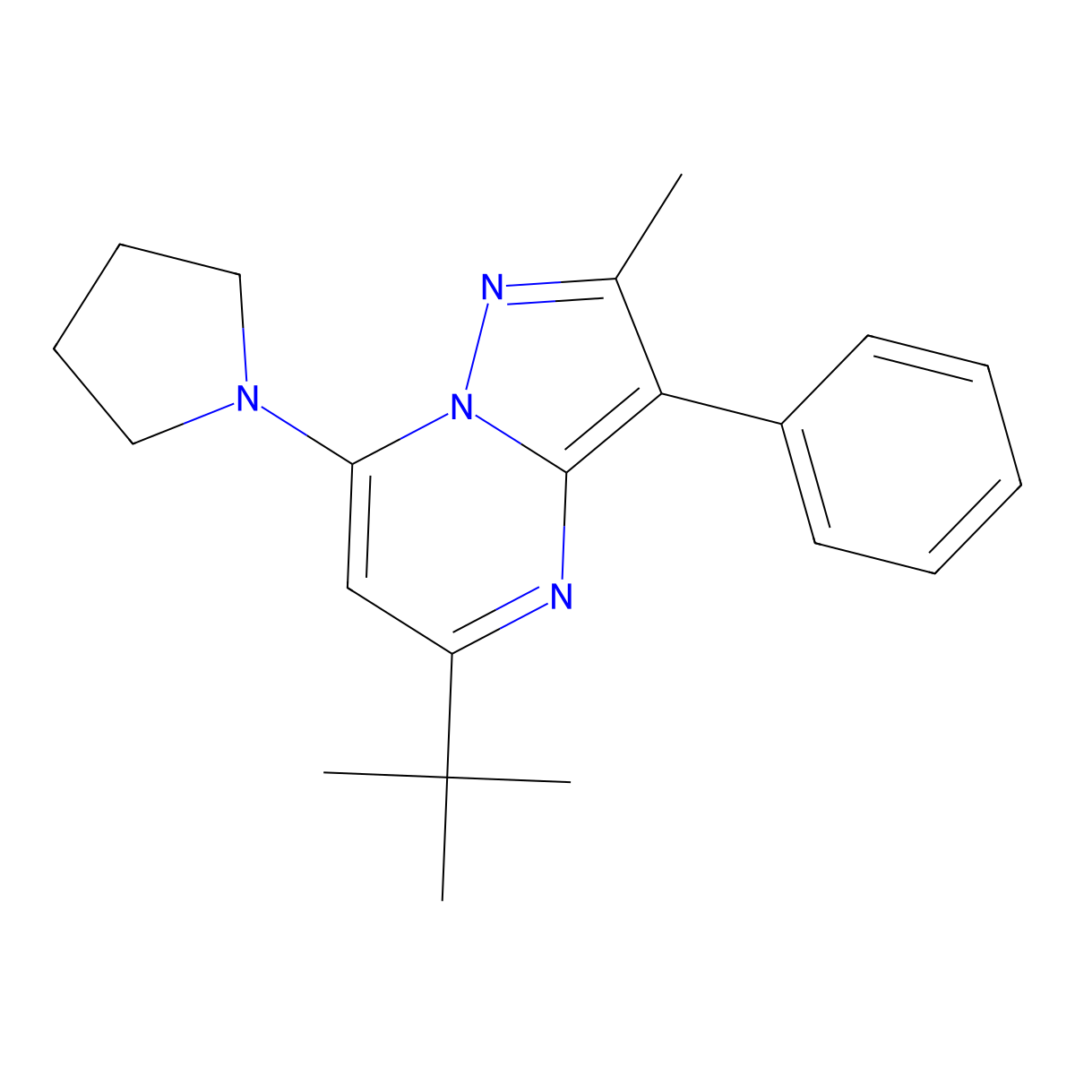 5-(Tert-butyl)-2-methyl-3-phenyl-7-(pyrrolidin-1-yl)pyrazolo[1,5-a]pyrimidine molecular structure, CAS 850192-42-6