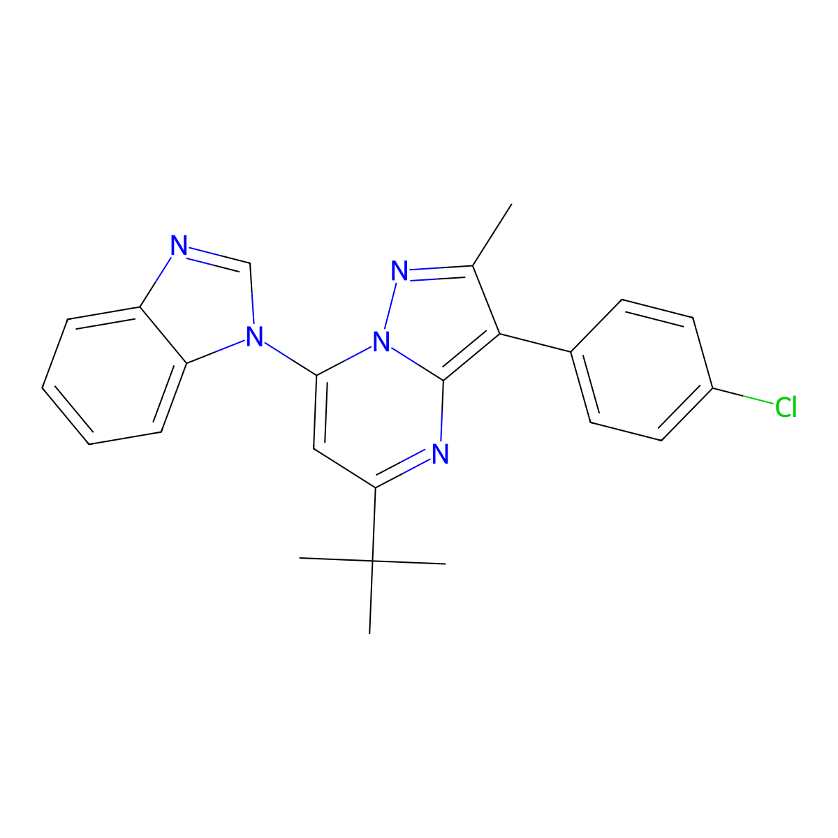 7-(1H-benzimidazol-1-yl)-5-tert-butyl-3-(4-chlorophenyl)-2-methylpyrazolo[1,5-a]pyrimidine molecular structure, CAS 850192-84-6
