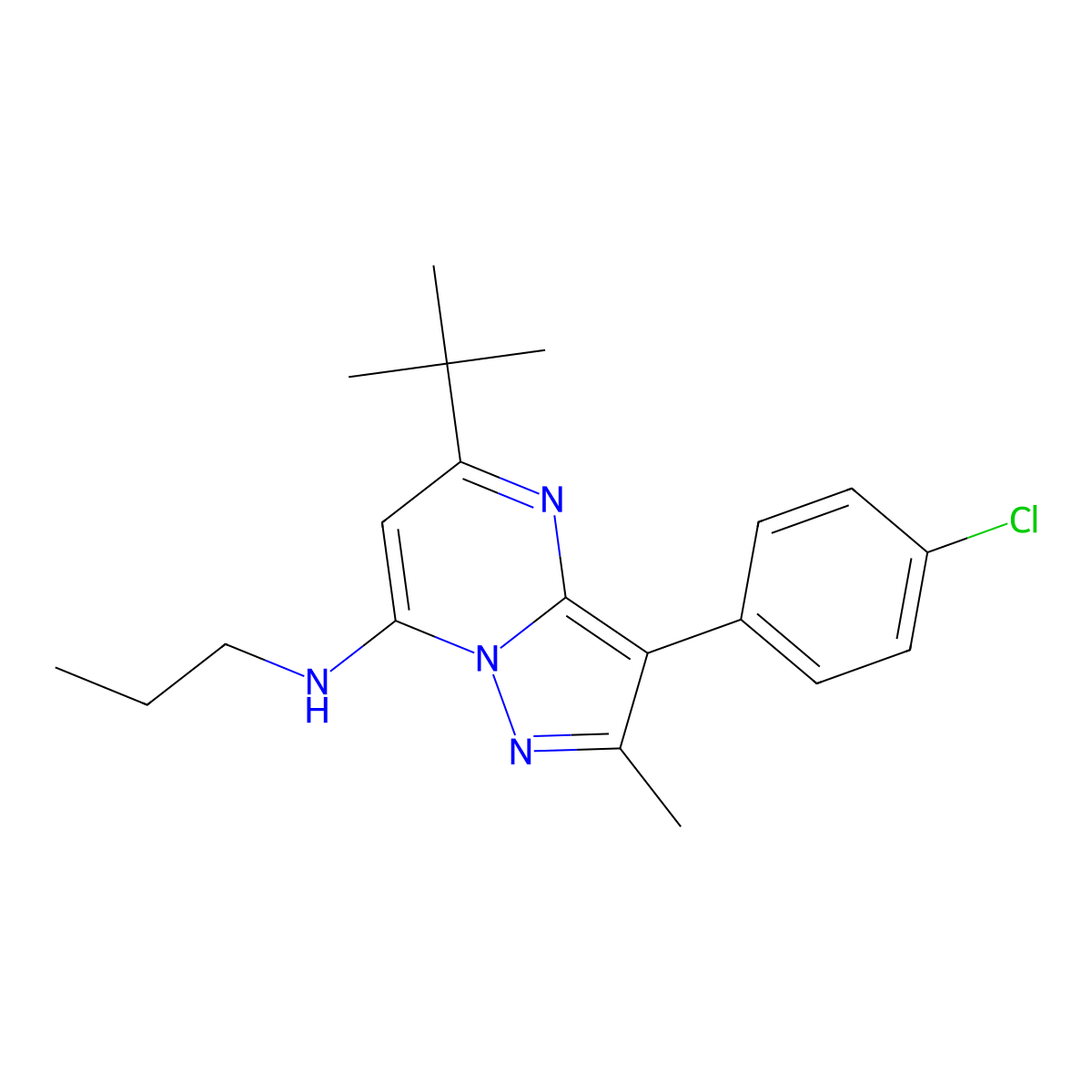 5-tert-butyl-3-(4-chlorophenyl)-2-methyl-N-propylpyrazolo[1,5-a]pyrimidin-7-amine molecular structure, CAS 850229-51-5
