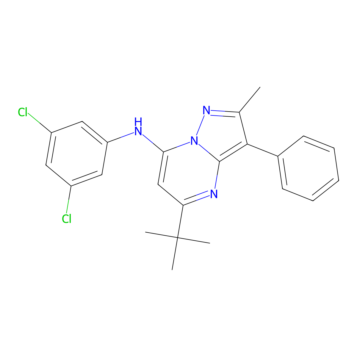5-tert-butyl-N-(3,5-dichlorophenyl)-2-methyl-3-phenylpyrazolo[1,5-a]pyrimidin-7-amine molecular structure, CAS 850722-41-7