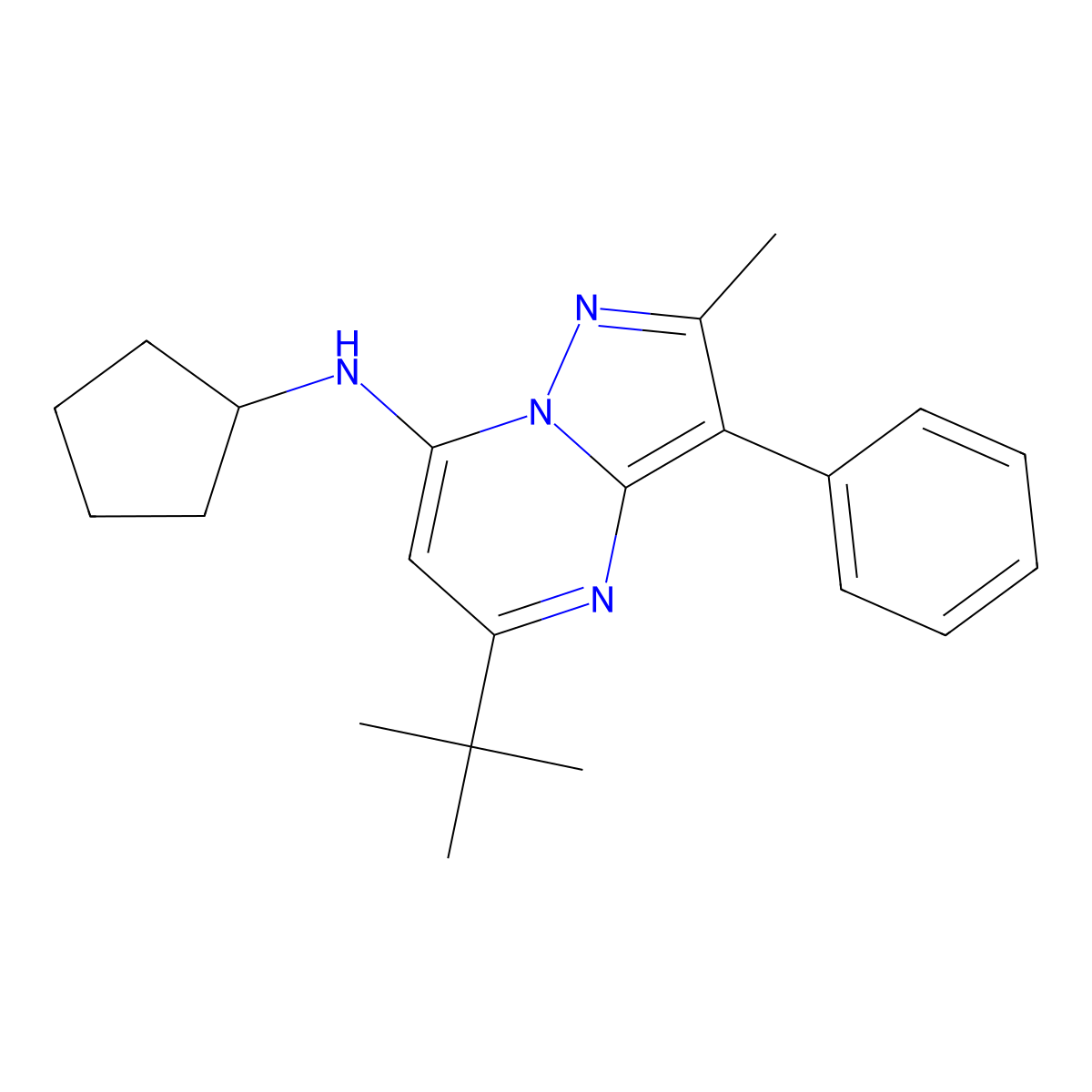 5-tert-butyl-N-cyclopentyl-2-methyl-3-phenylpyrazolo[1,5-a]pyrimidin-7-amine molecular structure, CAS 850731-59-8