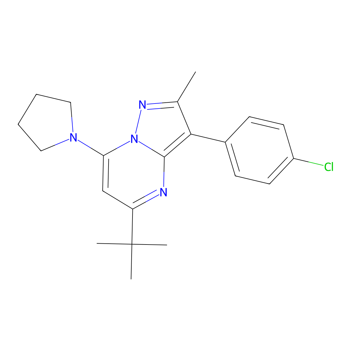 5-Tert-butyl-3-(4-chlorophenyl)-2-methyl-7-(pyrrolidin-1-yl)pyrazolo[1,5-a]pyrimidine molecular structure, CAS 850743-45-2