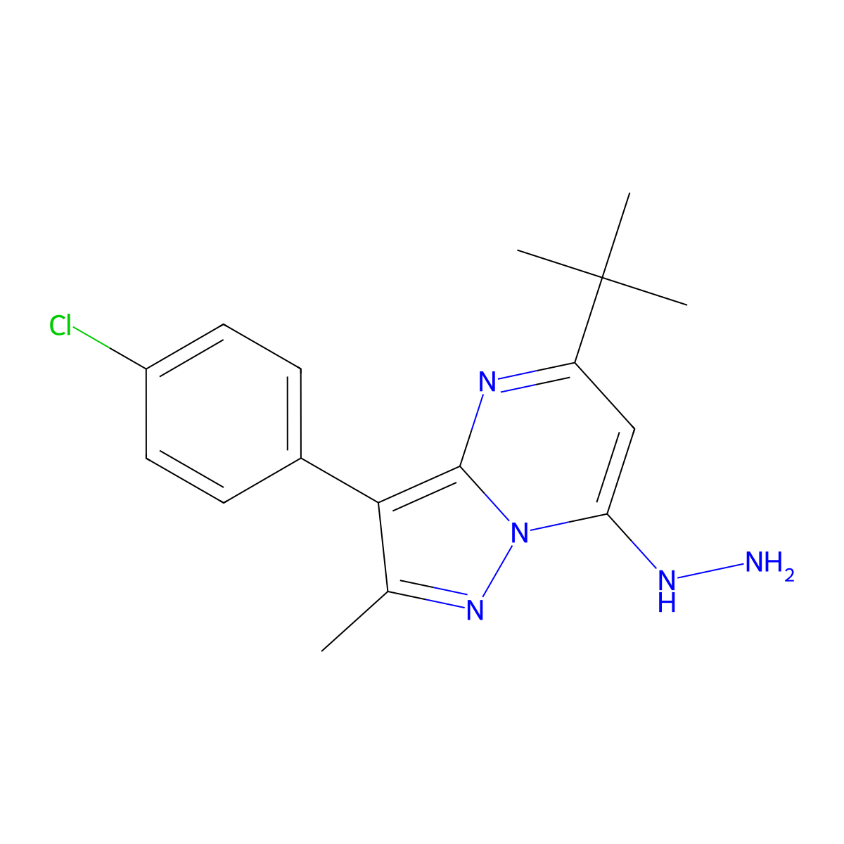 5-Tert-butyl-3-(4-chlorophenyl)-7-hydrazinyl-2-methylpyrazolo[1,5-a]pyrimidine molecular structure, CAS 850743-61-2