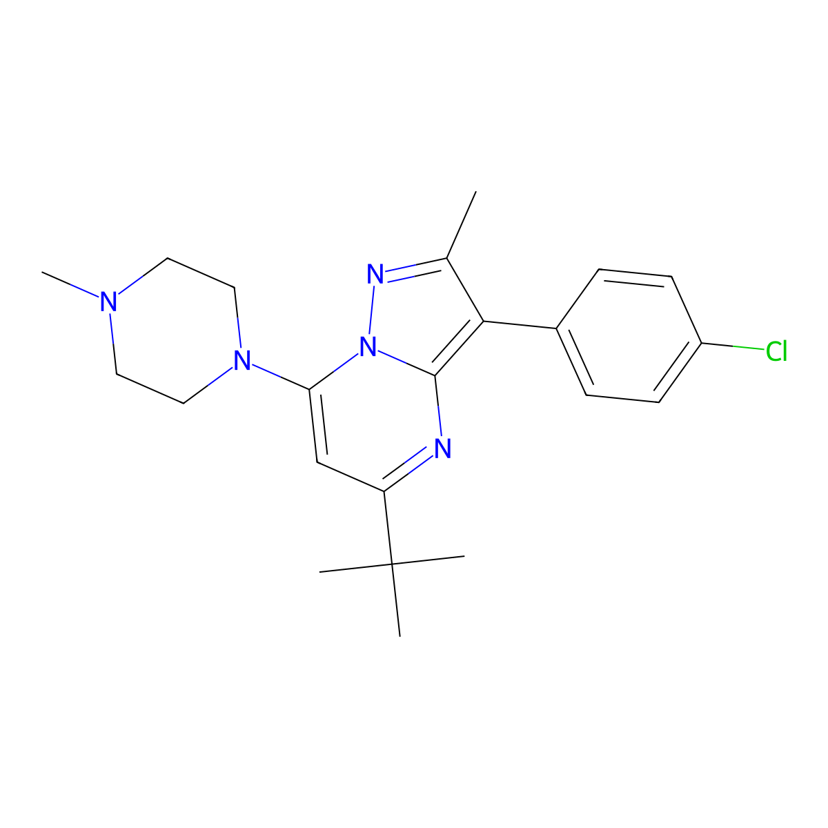 5-Tert-butyl-3-(4-chlorophenyl)-2-methyl-7-(4-methylpiperazin-1-yl)pyrazolo[1,5-a]pyrimidine molecular structure, CAS 850744-85-3