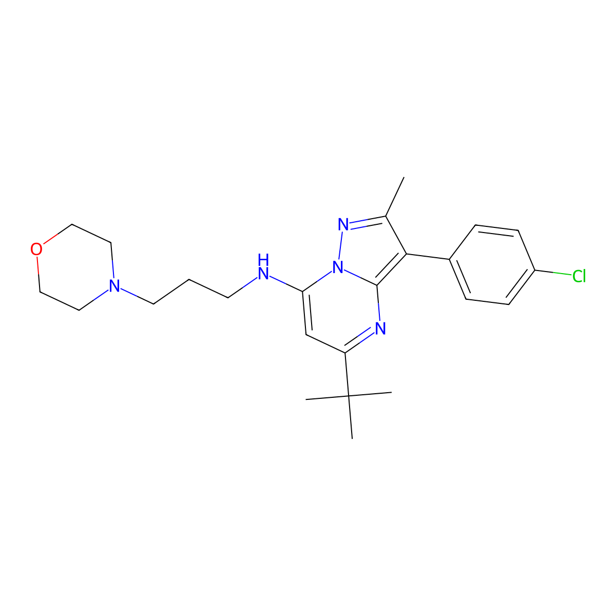 5-(tert-butyl)-3-(4-chlorophenyl)-2-methyl-N-(3-morpholinopropyl)pyrazolo[1,5-a]pyrimidin-7-amine molecular structure, CAS 850749-25-6