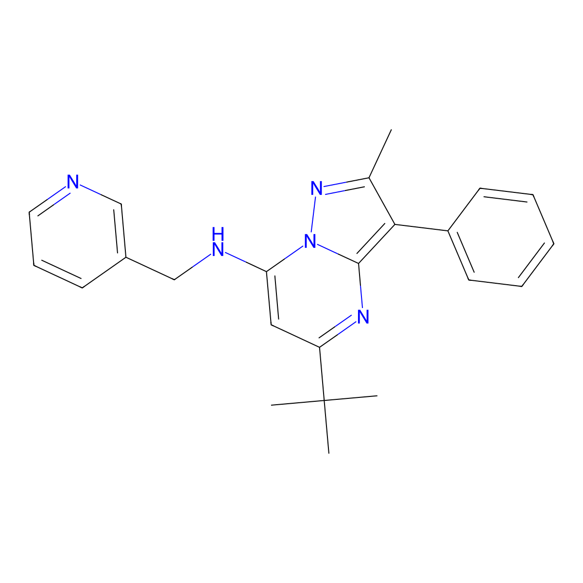 5-tert-butyl-2-methyl-3-phenyl-N-(pyridin-3-ylmethyl)pyrazolo[1,5-a]pyrimidin-7-amine molecular structure, CAS 850765-27-4