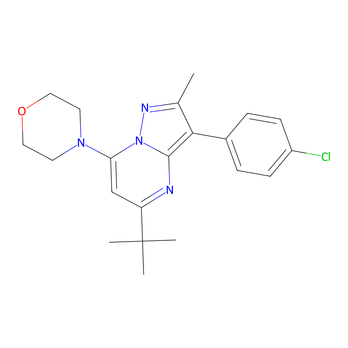 4-[5-Tert-butyl-3-(4-chlorophenyl)-2-methylpyrazolo[1,5-a]pyrimidin-7-yl]morpholine molecular structure, CAS 850800-25-8