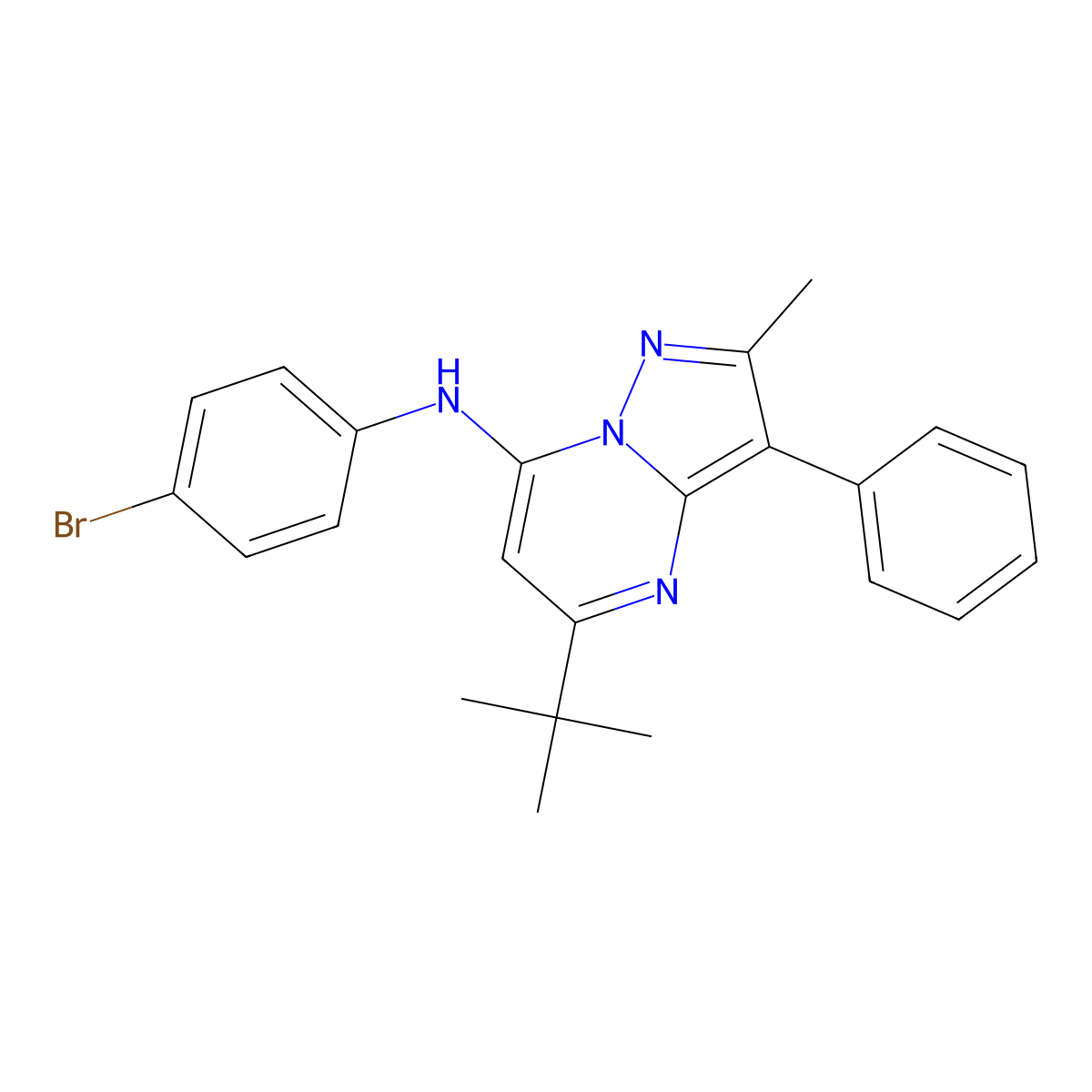 N-(4-bromophenyl)-5-tert-butyl-2-methyl-3-phenylpyrazolo[1,5-a]pyrimidin-7-amine molecular structure, CAS 850800-27-0