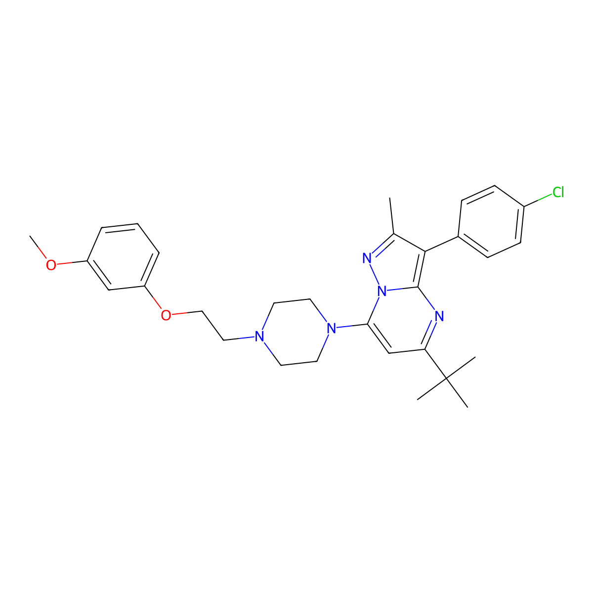 5-Tert-butyl-3-(4-chlorophenyl)-7-{4-[2-(3-methoxyphenoxy)ethyl]piperazin-1-yl}-2-methylpyrazolo[1,5-a]pyrimidine molecular structure, CAS 850801-26-2