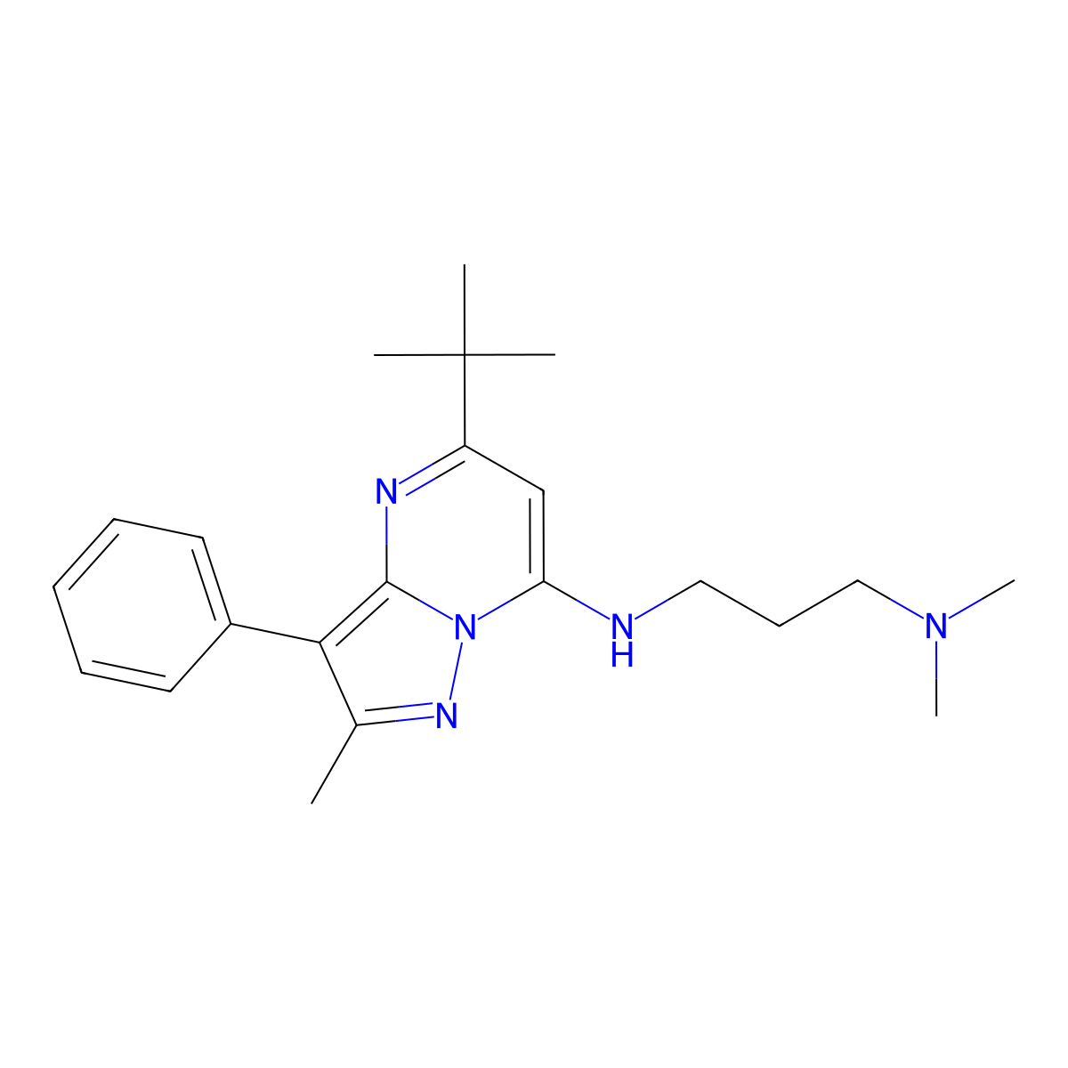 N-(5-tert-butyl-2-methyl-3-phenylpyrazolo[1,5-a]pyrimidin-7-yl)-N',N'-dimethylpropane-1,3-diamine molecular structure, CAS 850801-67-1