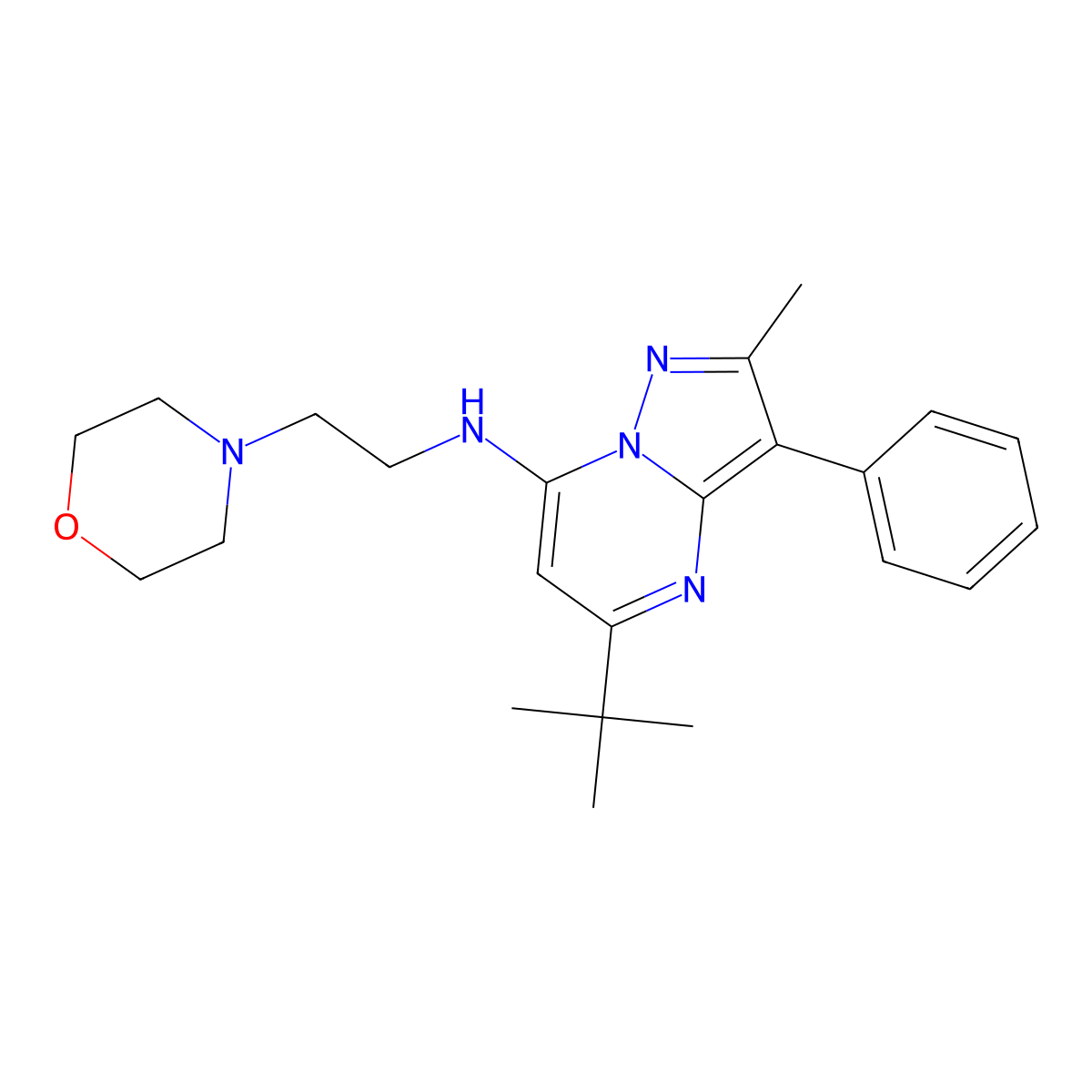 5-tert-butyl-2-methyl-N-(2-morpholin-4-ylethyl)-3-phenylpyrazolo[1,5-a]pyrimidin-7-amine molecular structure, CAS 850801-96-6