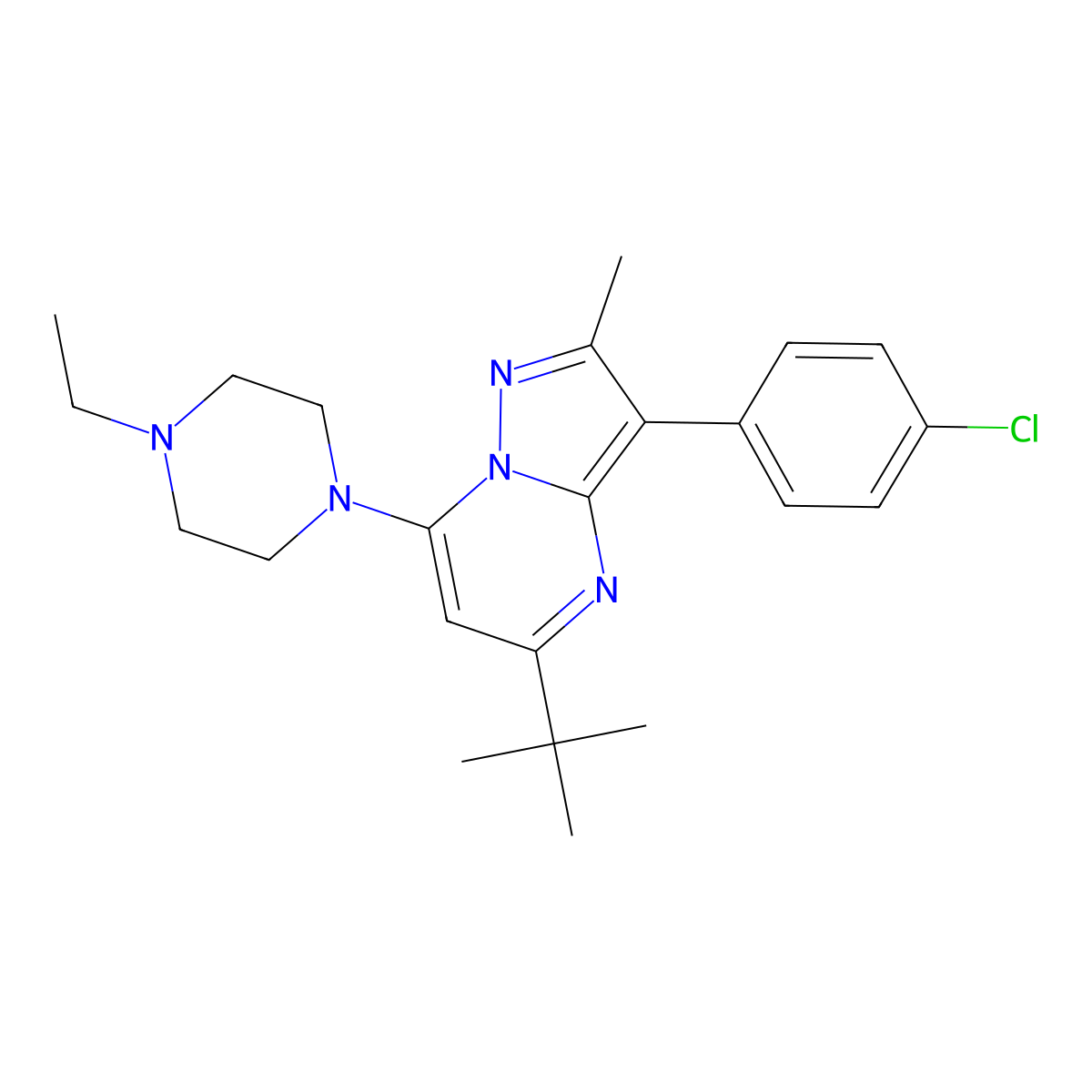 5-Tert-butyl-3-(4-chlorophenyl)-7-(4-ethylpiperazin-1-yl)-2-methylpyrazolo[1,5-a]pyrimidine molecular structure, CAS 850824-86-1