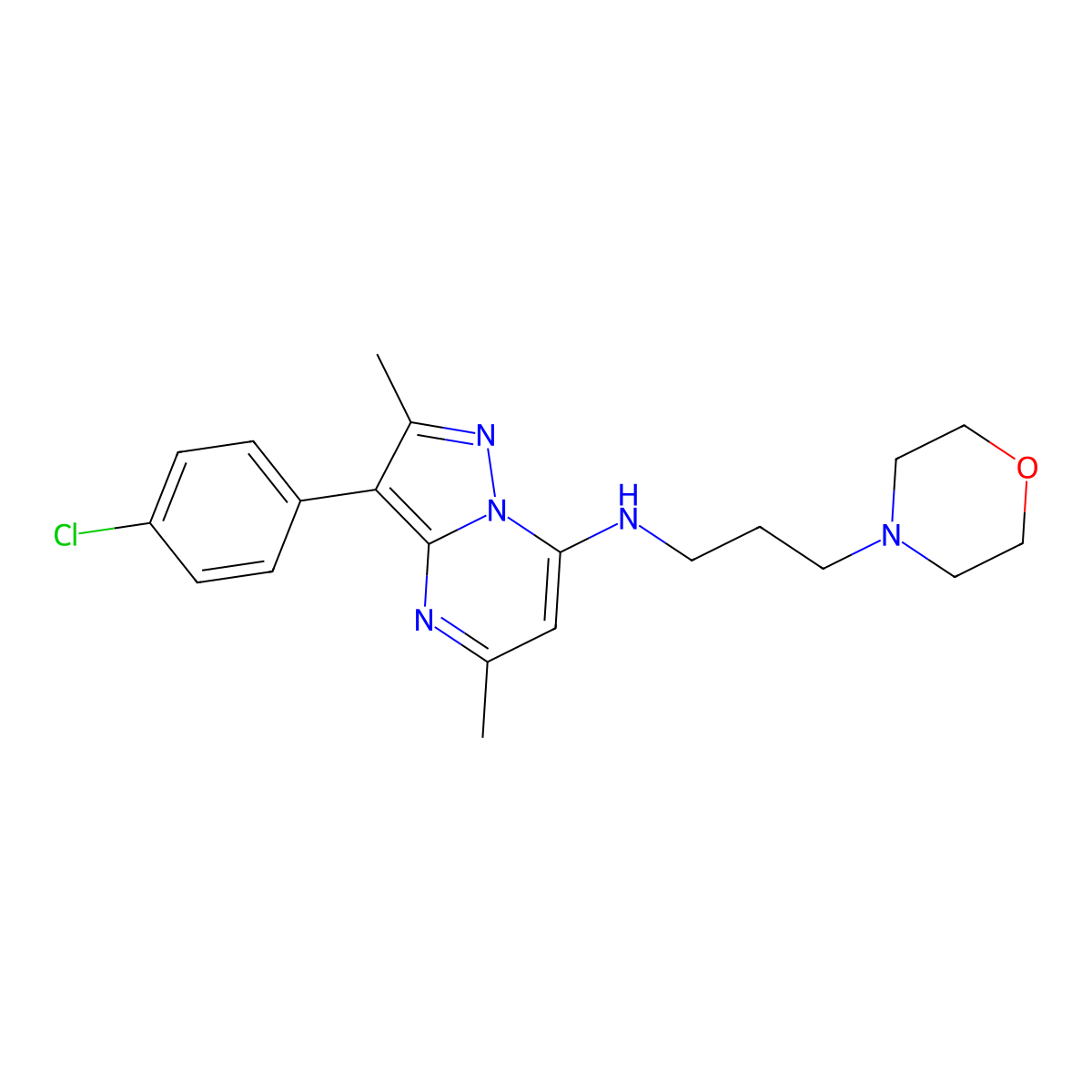 3-(4-chlorophenyl)-2,5-dimethyl-N-(3-morpholinopropyl)pyrazolo[1,5-a]pyrimidin-7-amine molecular structure, CAS 850826-13-0