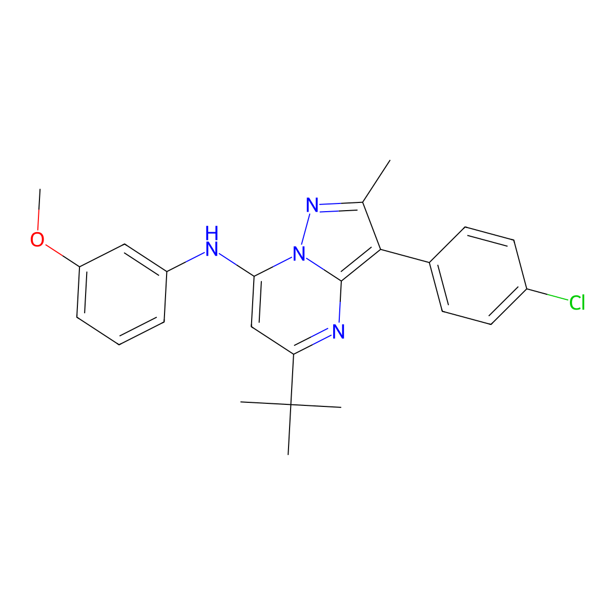 5-tert-butyl-3-(4-chlorophenyl)-N-(3-methoxyphenyl)-2-methylpyrazolo[1,5-a]pyrimidin-7-amine molecular structure, CAS 850826-48-1