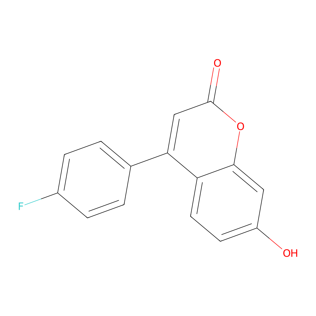 4-(4-Fluorophenyl)-7-hydroxy-2H-1-benzopyran-2-one molecular structure, CAS 850881-86-6