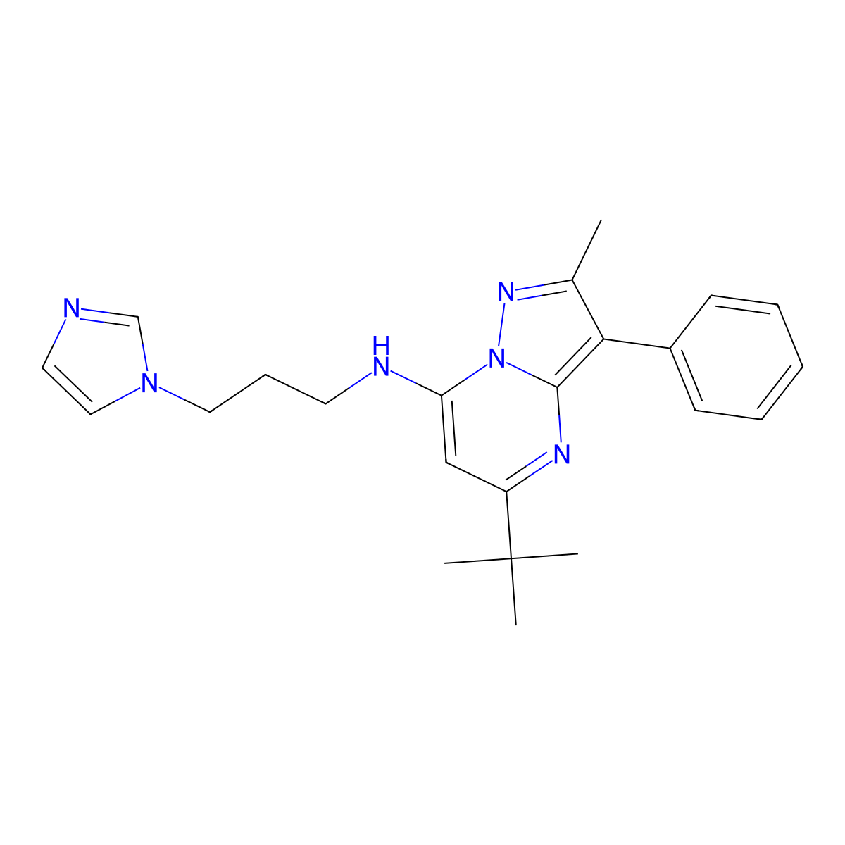 5-tert-butyl-N-[3-(1H-imidazol-1-yl)propyl]-2-methyl-3-phenylpyrazolo[1,5-a]pyrimidin-7-amine molecular structure, CAS 850899-81-9