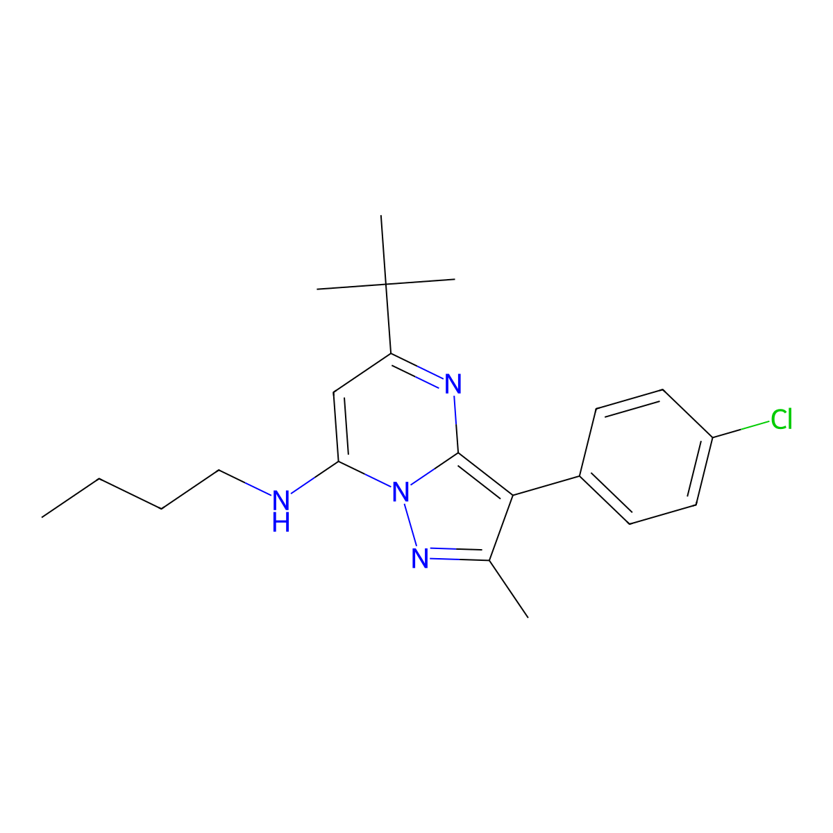 N-butyl-5-tert-butyl-3-(4-chlorophenyl)-2-methylpyrazolo[1,5-a]pyrimidin-7-amine molecular structure, CAS 850900-33-3