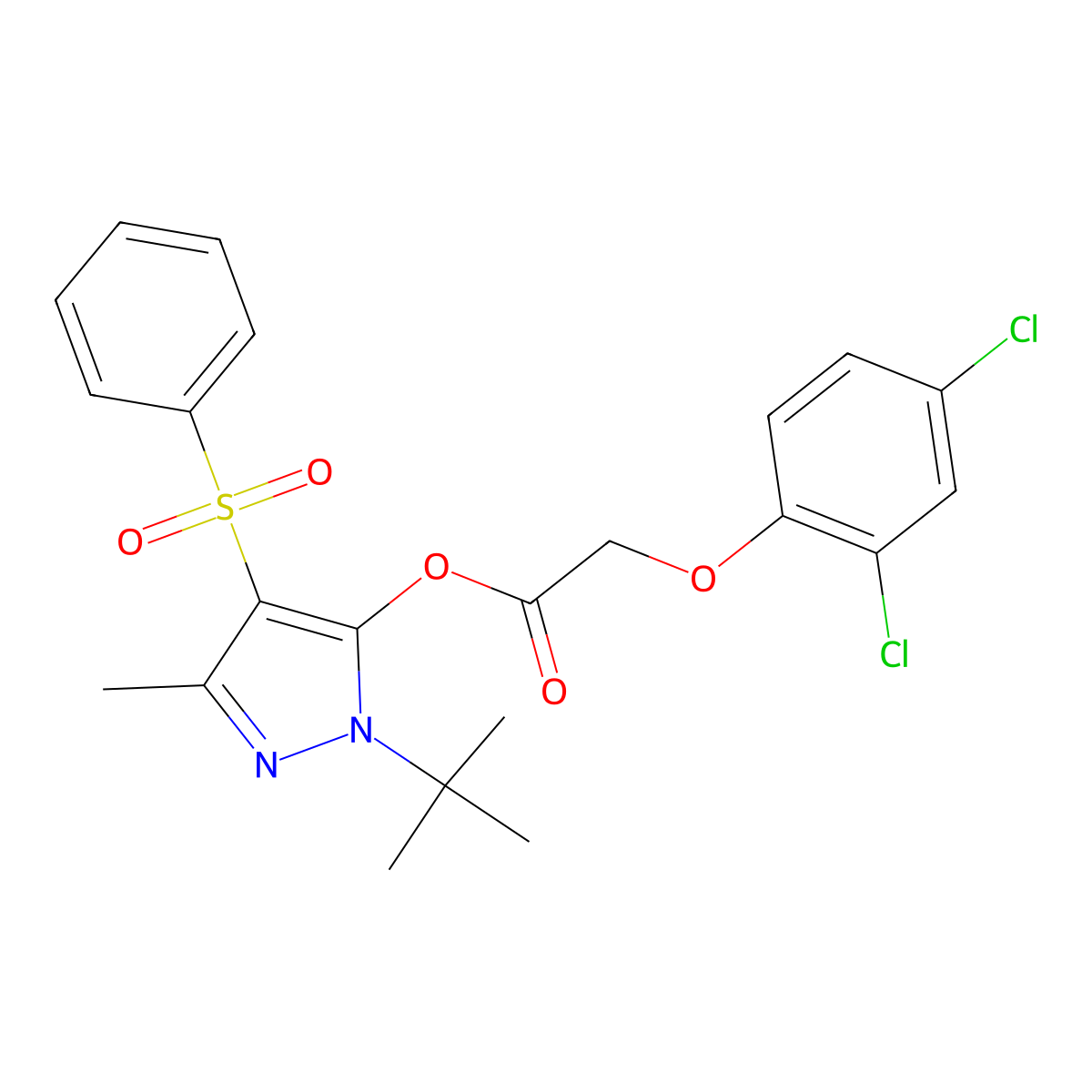 4-(benzenesulfonyl)-1-tert-butyl-3-methyl-1H-pyrazol-5-yl 2-(2,4-dichlorophenoxy)acetate molecular structure, CAS 851081-72-6
