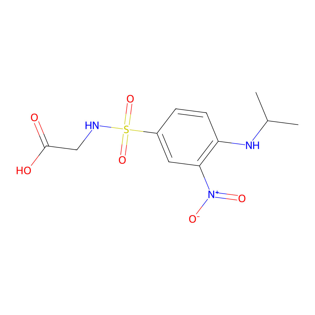 2-{3-Nitro-4-[(propan-2-yl)amino]benzenesulfonamido}acetic acid molecular structure, CAS 851169-05-6