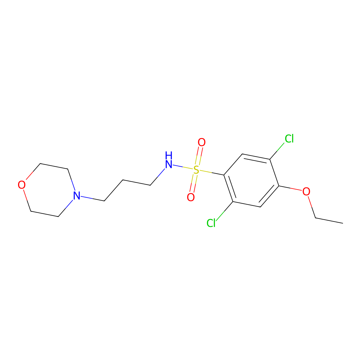 2,5-dichloro-4-ethoxy-N-(3-morpholin-4-ylpropyl)benzenesulfonamide molecular structure, CAS 853902-54-2
