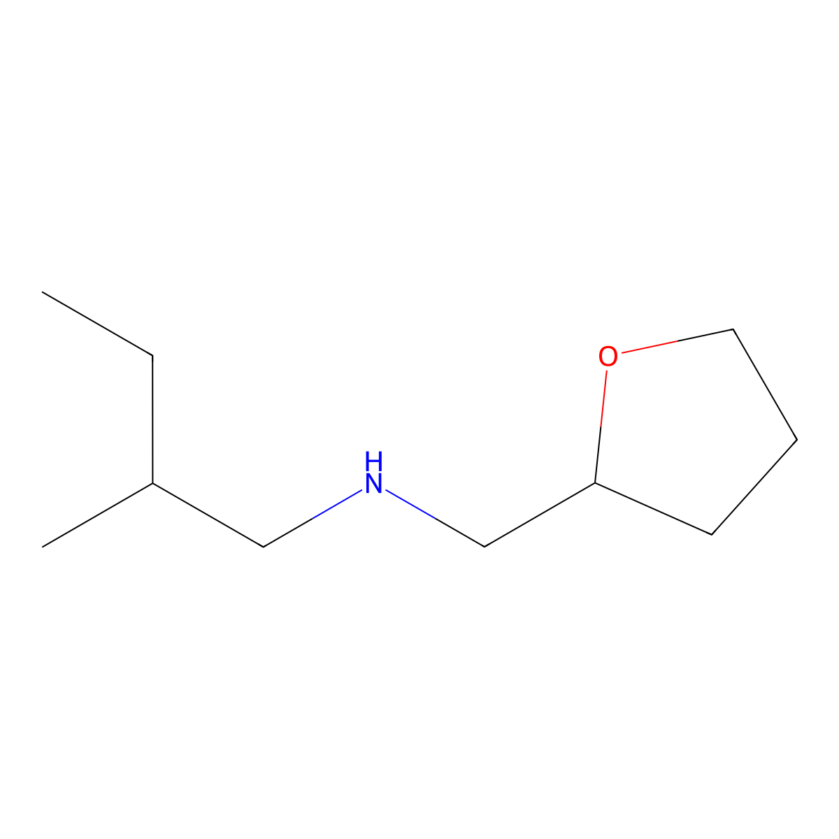 (2-Methylbutyl)[(oxolan-2-yl)methyl]amine molecular structure, CAS 858796-41-5