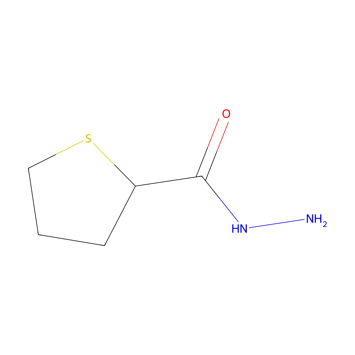 Thiolane-2-carbohydrazide molecular structure, CAS 859794-10-8