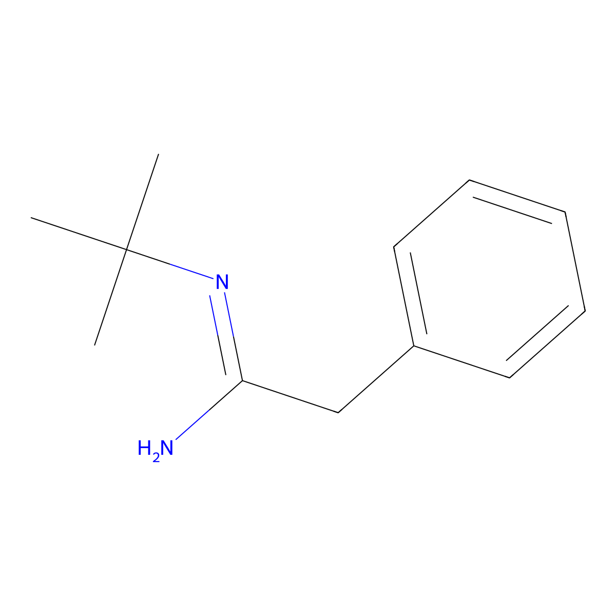 (1Z)-N'-tert-Butyl(phenyl)ethanimidamide molecular structure, CAS 860621-29-0