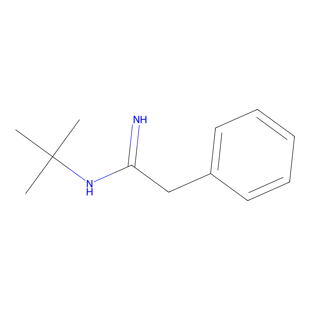 (1Z)-N'-tert-Butyl(phenyl)ethanimidamide molecular structure, CAS 860621-29-0