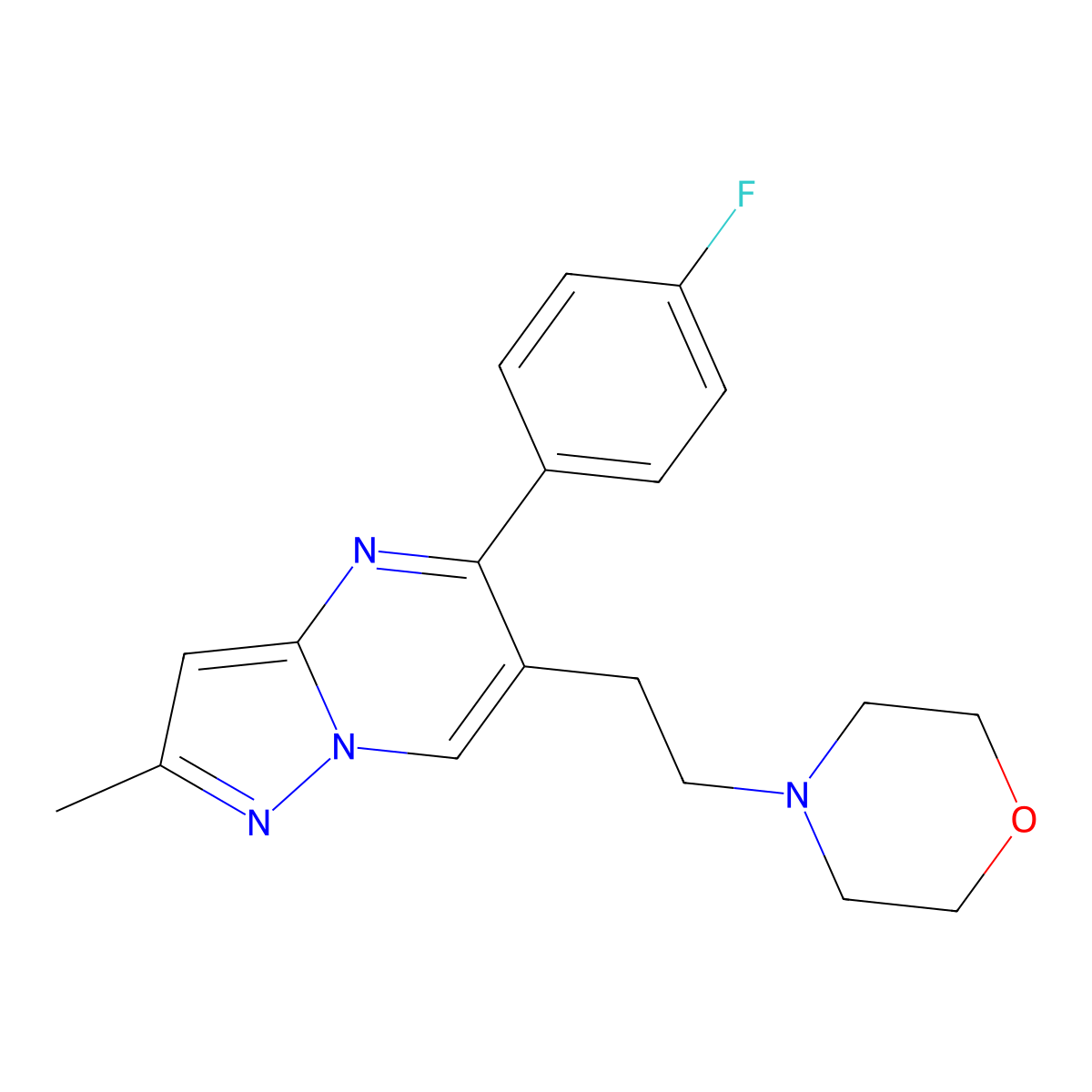4-{2-[5-(4-Fluorophenyl)-2-methylpyrazolo[1,5-a]pyrimidin-6-yl]ethyl}morpholine molecular structure, CAS 861207-03-6